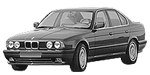 BMW E34 P1490 Fault Code